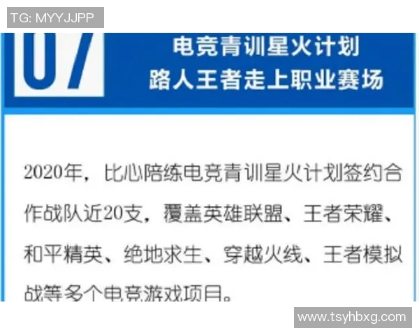 热议王者荣耀FPX灵活性变革带来的战术创新与团队协作新模式