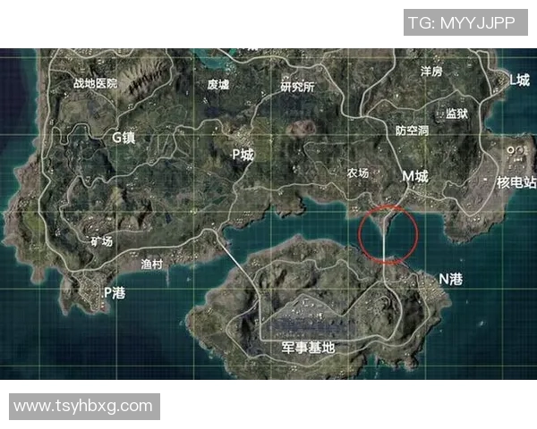 BLG在S15电竞总决赛中和平精英意识排名创下新高引发热议